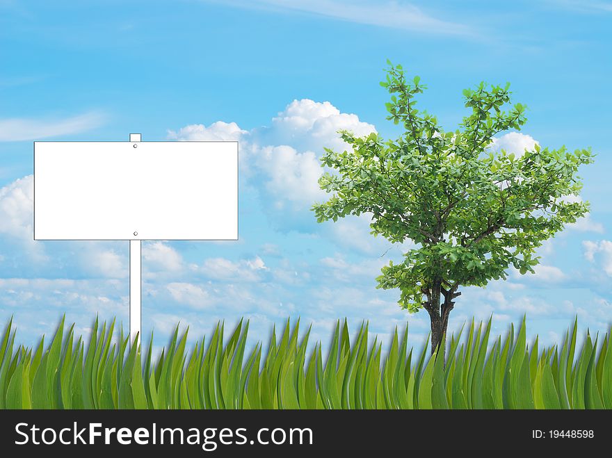 Blank sign background of grass pattern on nice blue sky