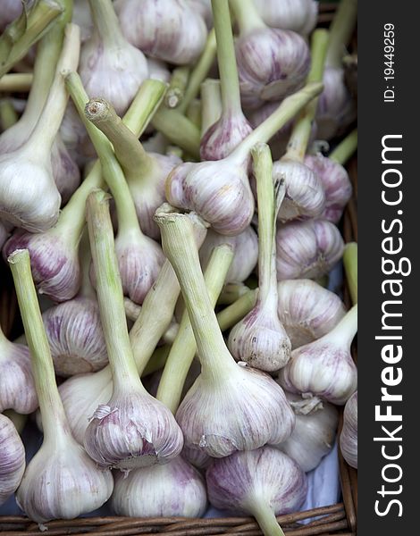 Garlic for sale on market stall. Garlic for sale on market stall