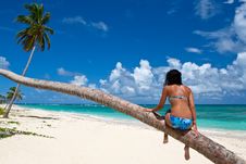 Tanned Woman Sitting On A Palm White Sand Beach Stock Photos Tanned Woman Sitting On A Palm White Sand Beach Stock Photos