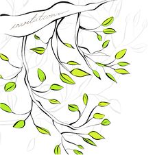 Free Decorative Invitation Stock Photo - 19457000