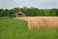 Barn & Hay Rolls Stock Photo Barn & Hay Rolls Stock Photo