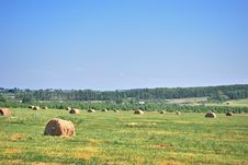 Hay Stock Photo Hay Stock Photo