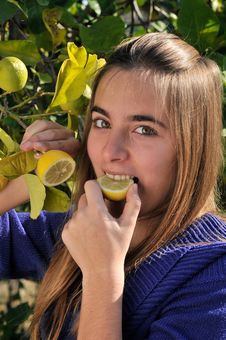 Girl Eating A Lemon Stock Photo Girl Eating A Lemon Stock Photo
