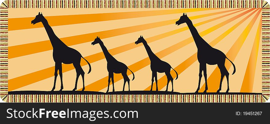 Silhouettes of giraffes in africa
