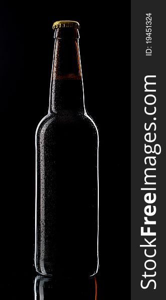Wet beer botle on black background