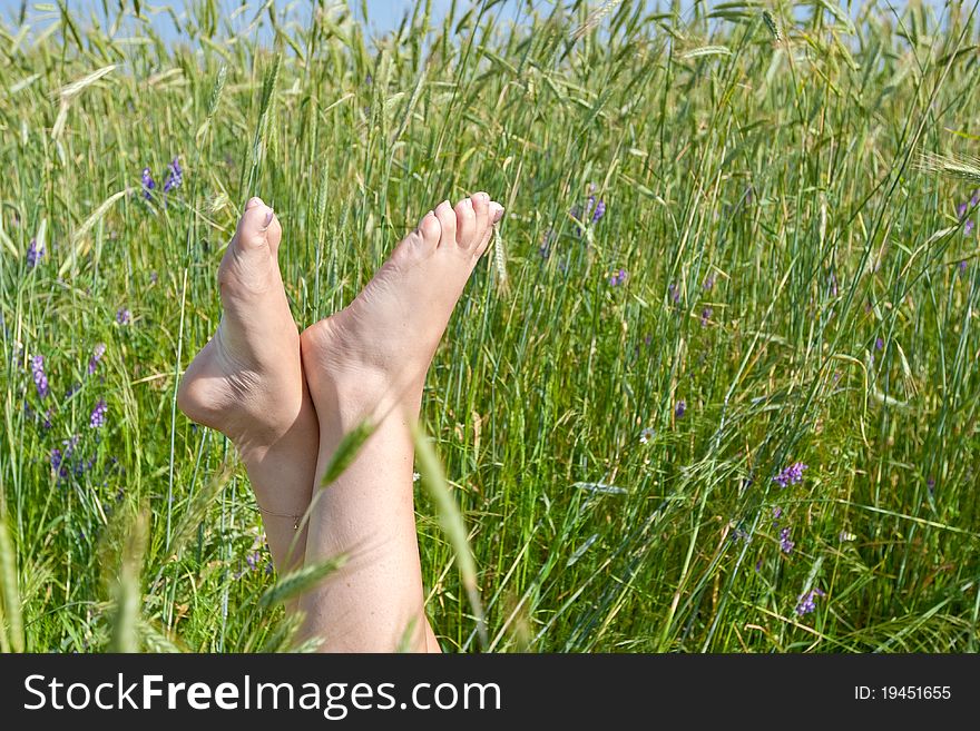 Woman two legs in green grass field under blue sky in summer