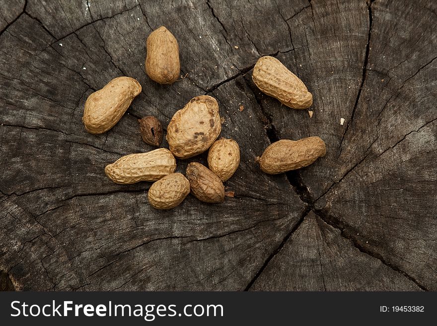 Groundnuts on a stump of tree