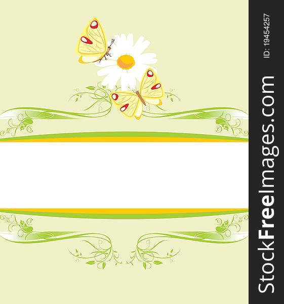 Chamomile and butterflies on the decorative frame. Illustration