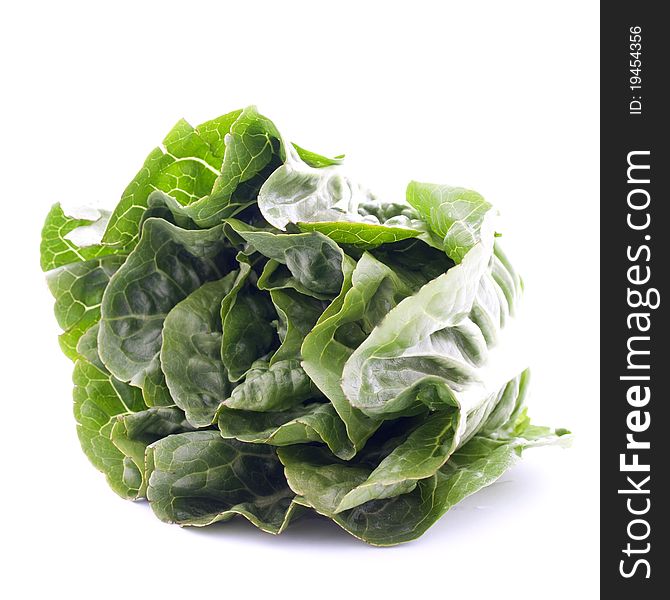 Romaine lettuce isolated on white background