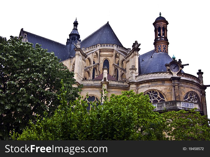 The Paris cathedral Notre Dame with shrubs in the foreground. The Paris cathedral Notre Dame with shrubs in the foreground