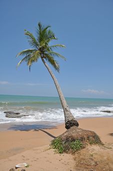 Kosgoda Beach,Sri Lanka Stock Photo Kosgoda Beach,Sri Lanka Stock Photo