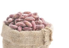 Seeds Of Beans Stock Image Seeds Of Beans Stock Image