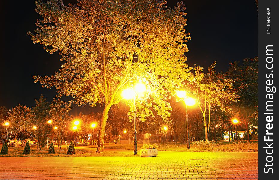 Path in the night park. Path in the night park