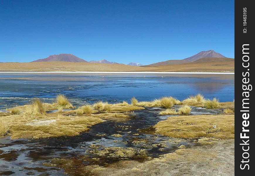 Altiplano - high altitude plateau in the Andes on the border of Bolivia, Chile and Argentina. On the Altiplano many volcanoes, lagoons with flamingos, salt flats and high desert. Altiplano - high altitude plateau in the Andes on the border of Bolivia, Chile and Argentina. On the Altiplano many volcanoes, lagoons with flamingos, salt flats and high desert.