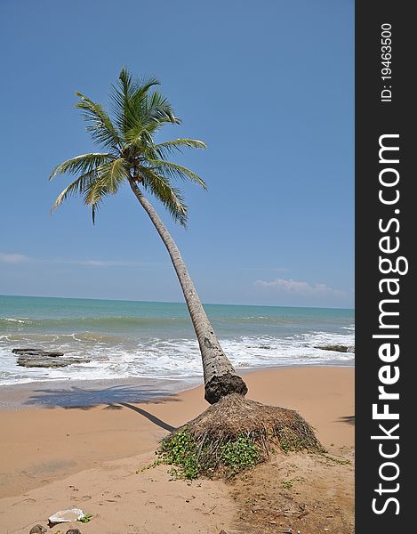 Kosgoda beach,southern Sri Lanka. Kosgoda beach,southern Sri Lanka