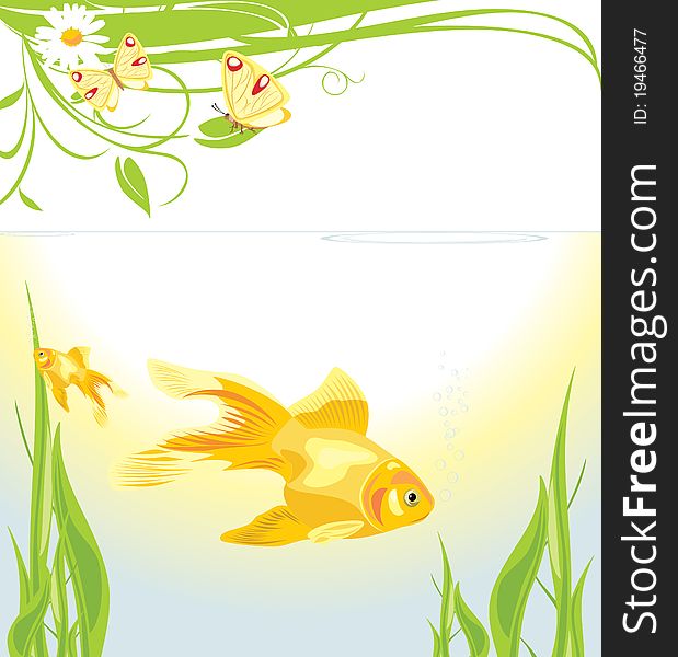 Goldfishes among algae