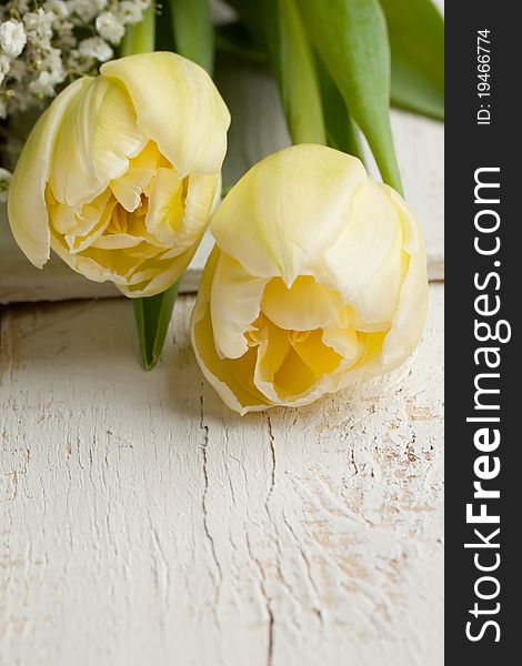 Two yellow tulips and little white flowers on white wooden table