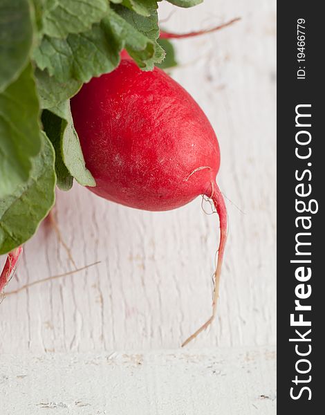 Fresh radish on white wooden table