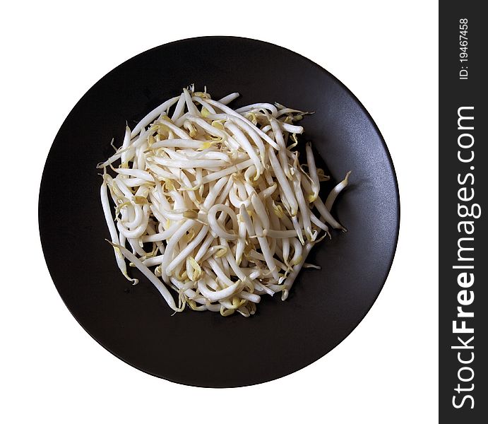 Closed up group of beansprouts