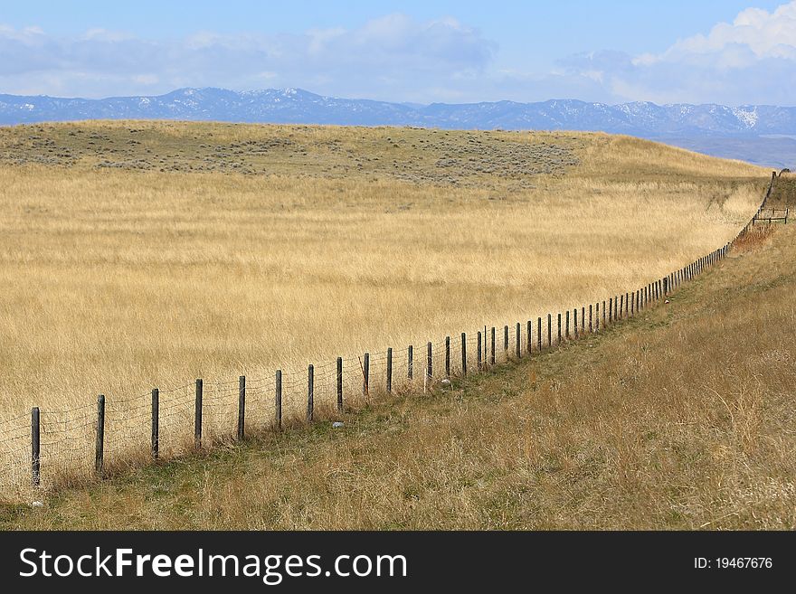 Fence Row In Eastern Wyoming