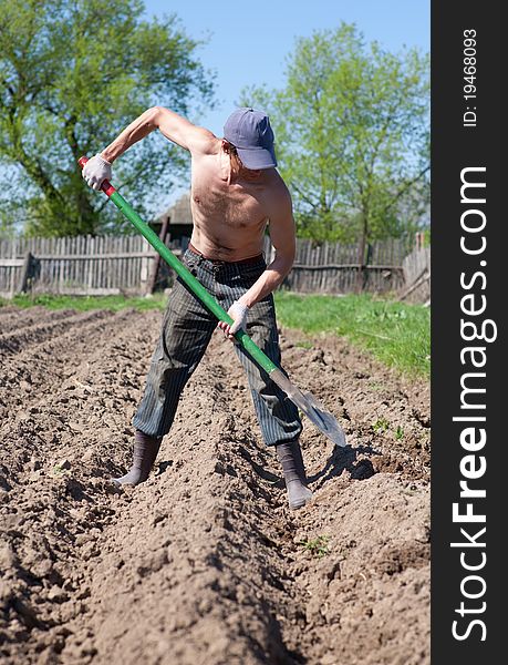 The man digs kitchen garden