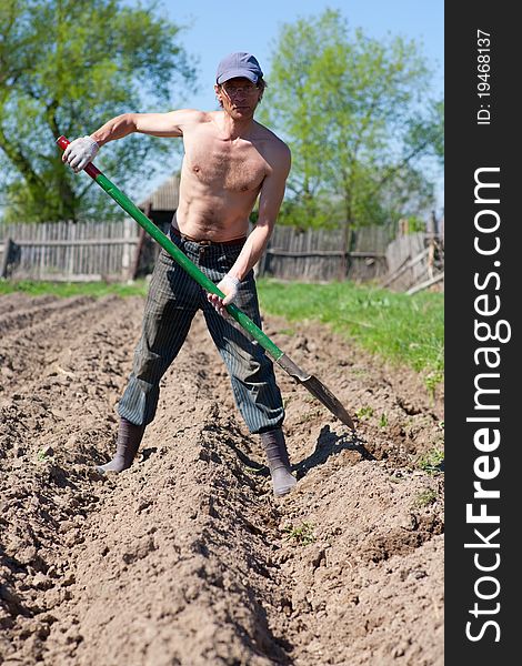 The man digs kitchen garden