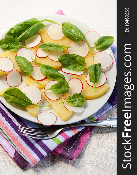 Radish and potato salad with spinach in a plate