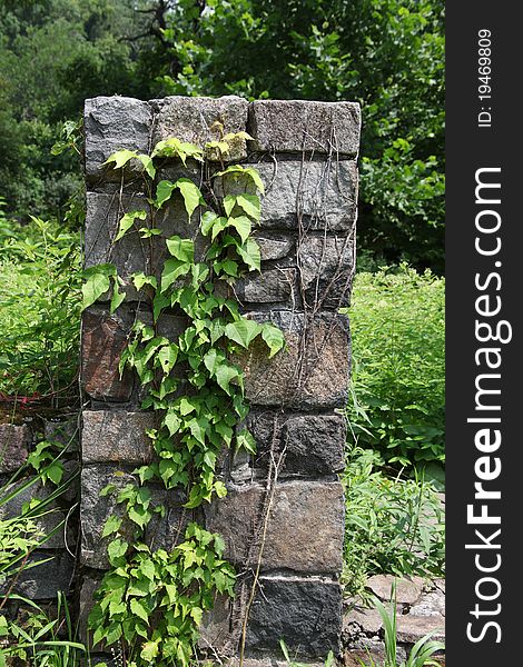 Fieldstone Pillar With Ivy