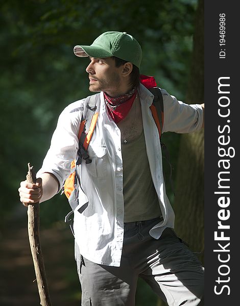 Male hiker with stick walking in forest. Male hiker with stick walking in forest