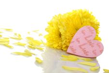 Yellow Chrysanthemums With Two Red Hearts Royalty Free Stock Photo Yellow Chrysanthemums With Two Red Hearts Royalty Free Stock Photo