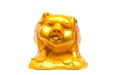 Golden Piggy Bank Isolated On A White Background Stock Image
