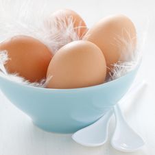 Fresh Eggs Stock Photos