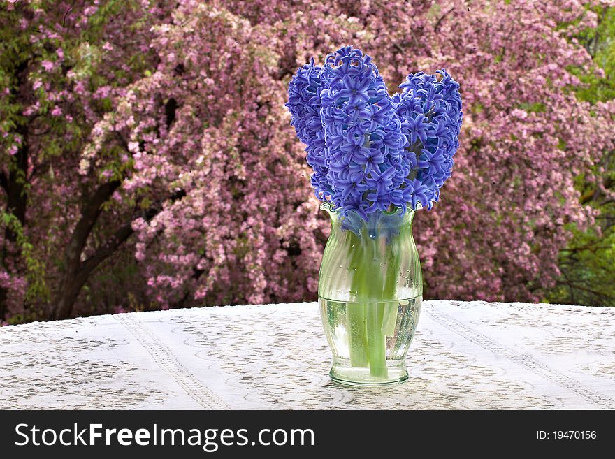 A bouquet of purple hyacinths in a glass vase sits on a table with a lace tablecloth. A tree with beautiful pink blossoms is in the background. A bouquet of purple hyacinths in a glass vase sits on a table with a lace tablecloth. A tree with beautiful pink blossoms is in the background.