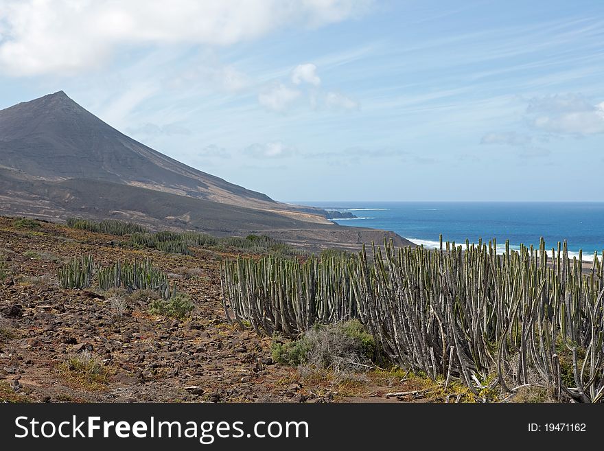 Landscape on Fuerteventura, Canary Islands