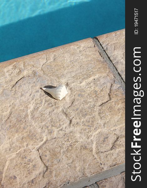 Sea shell on a pool edge at a resort. Sea shell on a pool edge at a resort