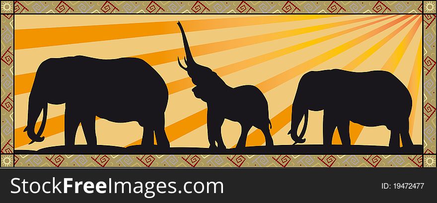Three elephants at sunset in africa