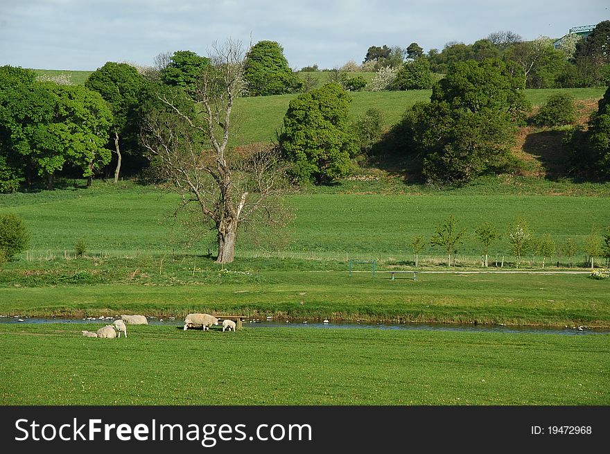 Spey valley in spring at aberlour in scotland