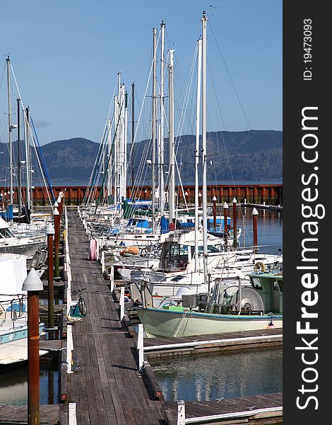 Fishing boats & small yachts in a marina.