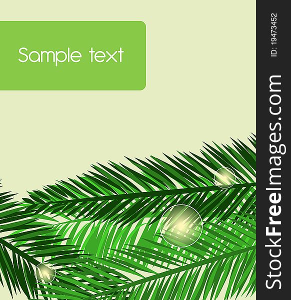 Green Vector seamless background with palm leafs. Green Vector seamless background with palm leafs