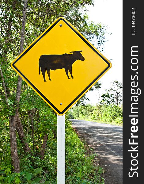 The Cattle crossing Sign,Countryside of Thailand