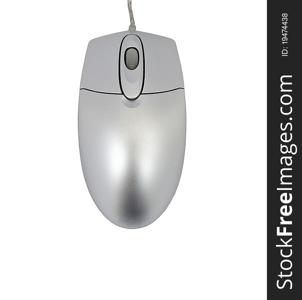 Computer mouse on white background