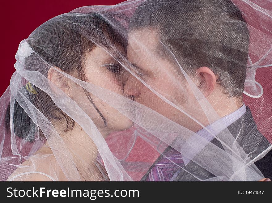 Kissing Couple Newlyweds Behind Wedding Veil