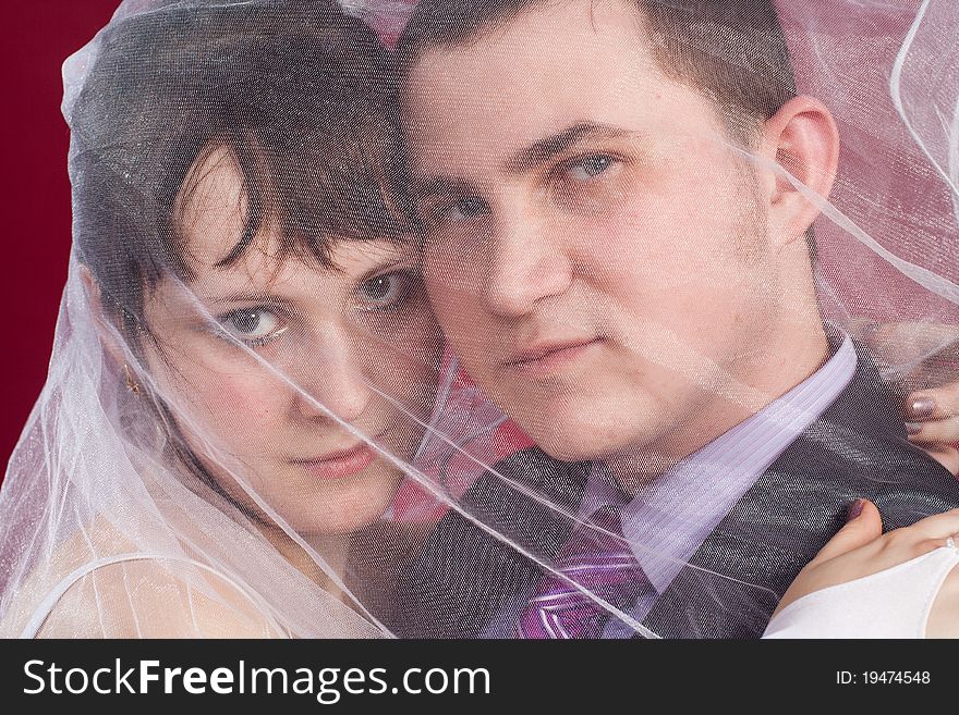 Hugging Couple newlyweds behind wedding veil