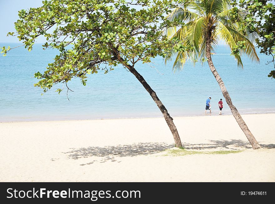 Tourists walk on the sand beach with tree in Sanya,Hainan,China. Tourists walk on the sand beach with tree in Sanya,Hainan,China.