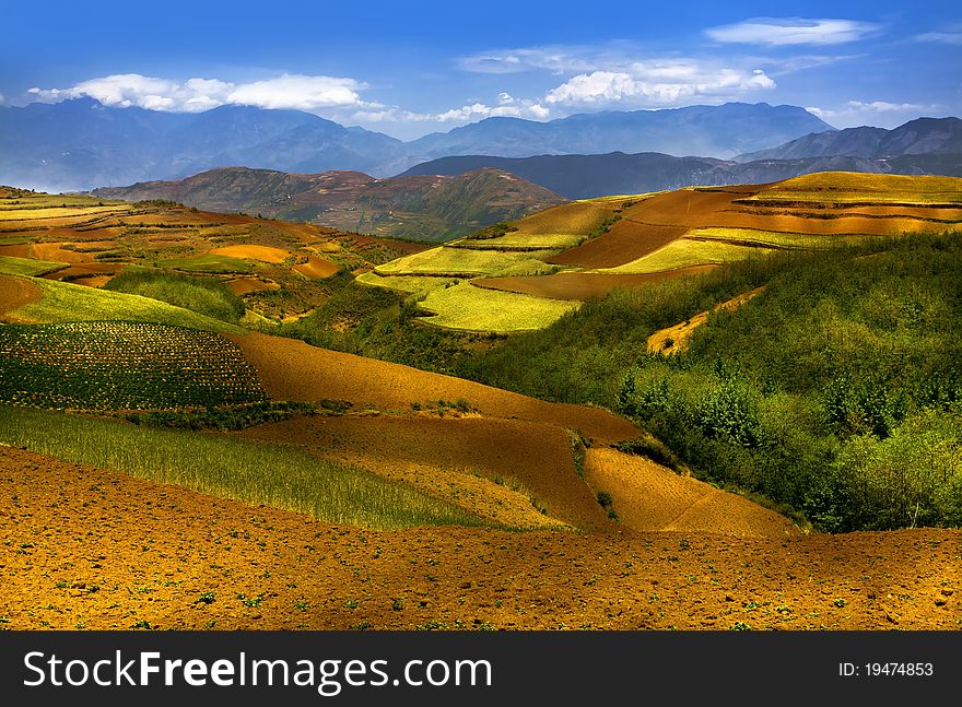 Wheat fields in the foreground, a gentle hill covered in grass, oat fields in the background and the blue sky create a landscape of contrasting colours. Wheat fields in the foreground, a gentle hill covered in grass, oat fields in the background and the blue sky create a landscape of contrasting colours.