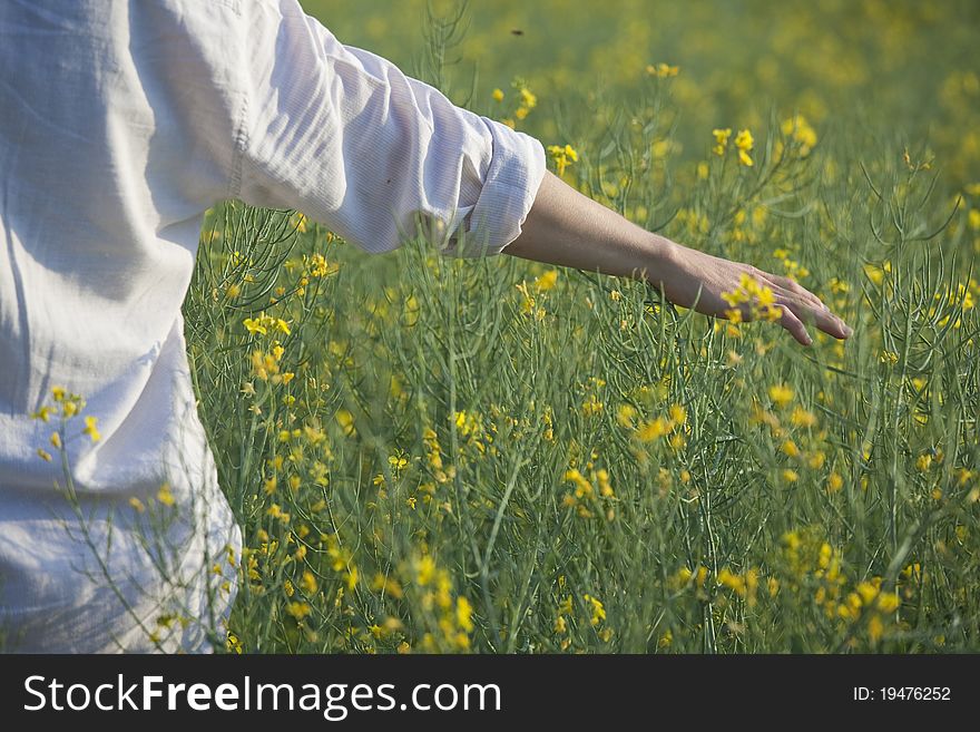 Man running his hand through some flowers in a field. Man running his hand through some flowers in a field