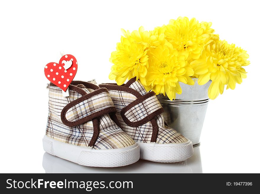 Little children's shoes near a bucket with flowers of yellow chrysanthemums. Isolated on white background. Little children's shoes near a bucket with flowers of yellow chrysanthemums. Isolated on white background