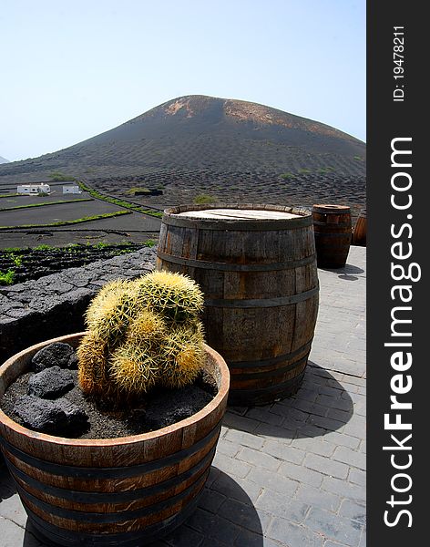 A beautiful composite of the peculiar way of this island. Cactus, barrels and a vulcano. A beautiful composite of the peculiar way of this island. Cactus, barrels and a vulcano.