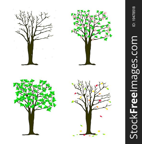 Four seasons trees over white illustration