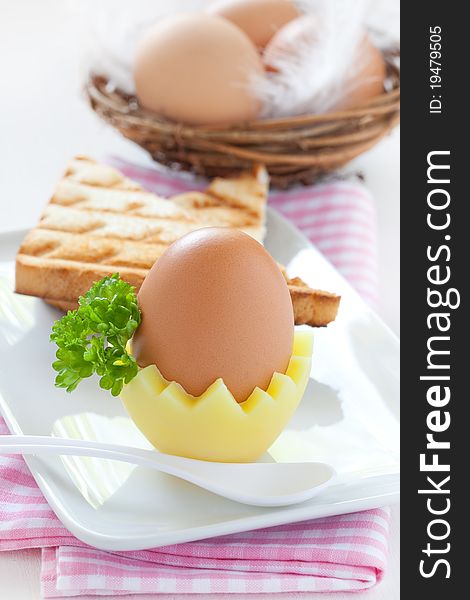 Fresh brown egg with toast. Fresh brown egg with toast